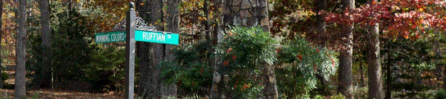 Winning Colors Rd / Ruffian Dr off Stefaniga Rd (Rt 648)