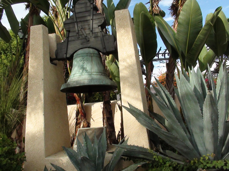Bell-of-Delores and yacca plant in LA, Click to return